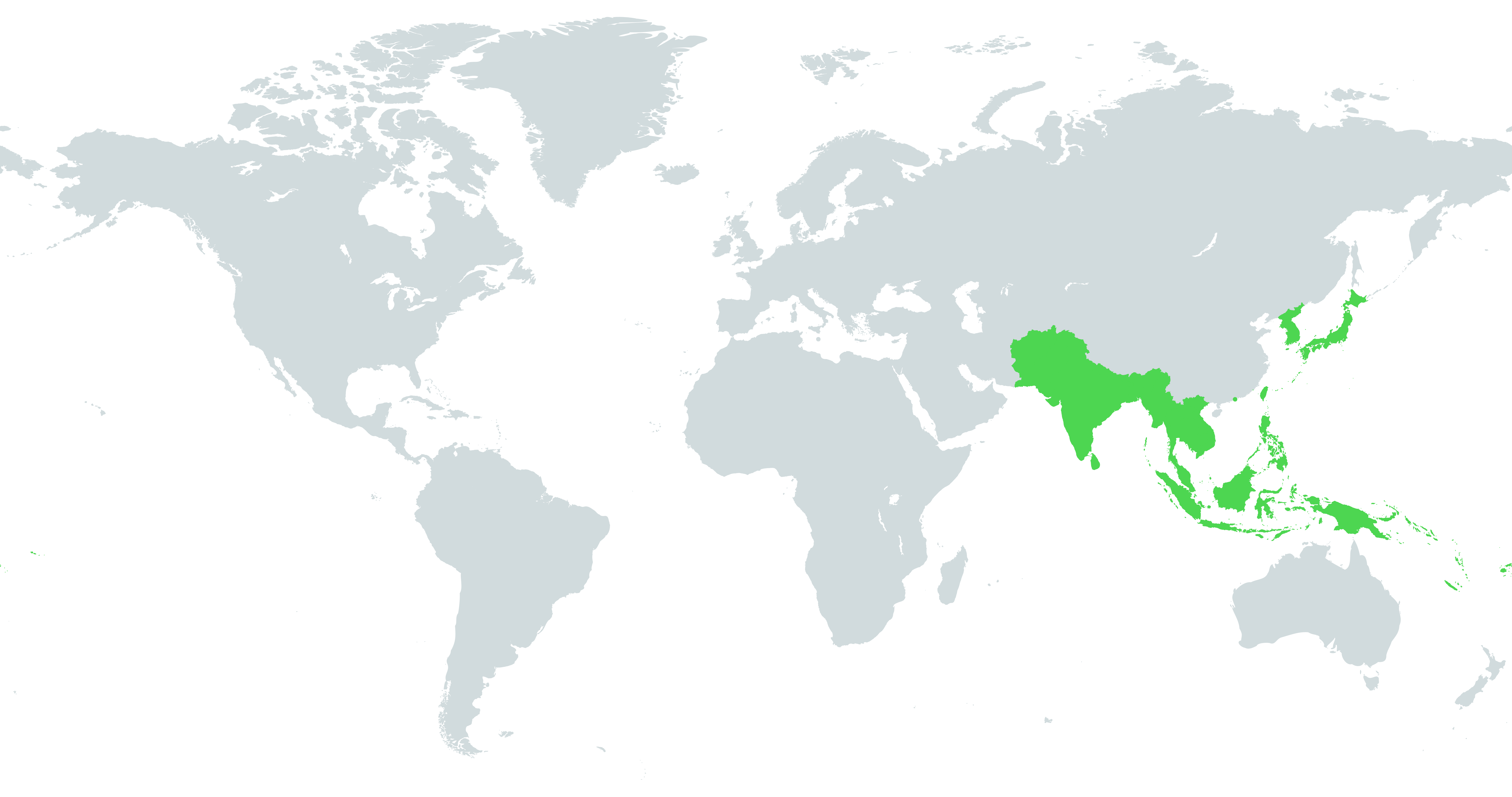apac-transparent