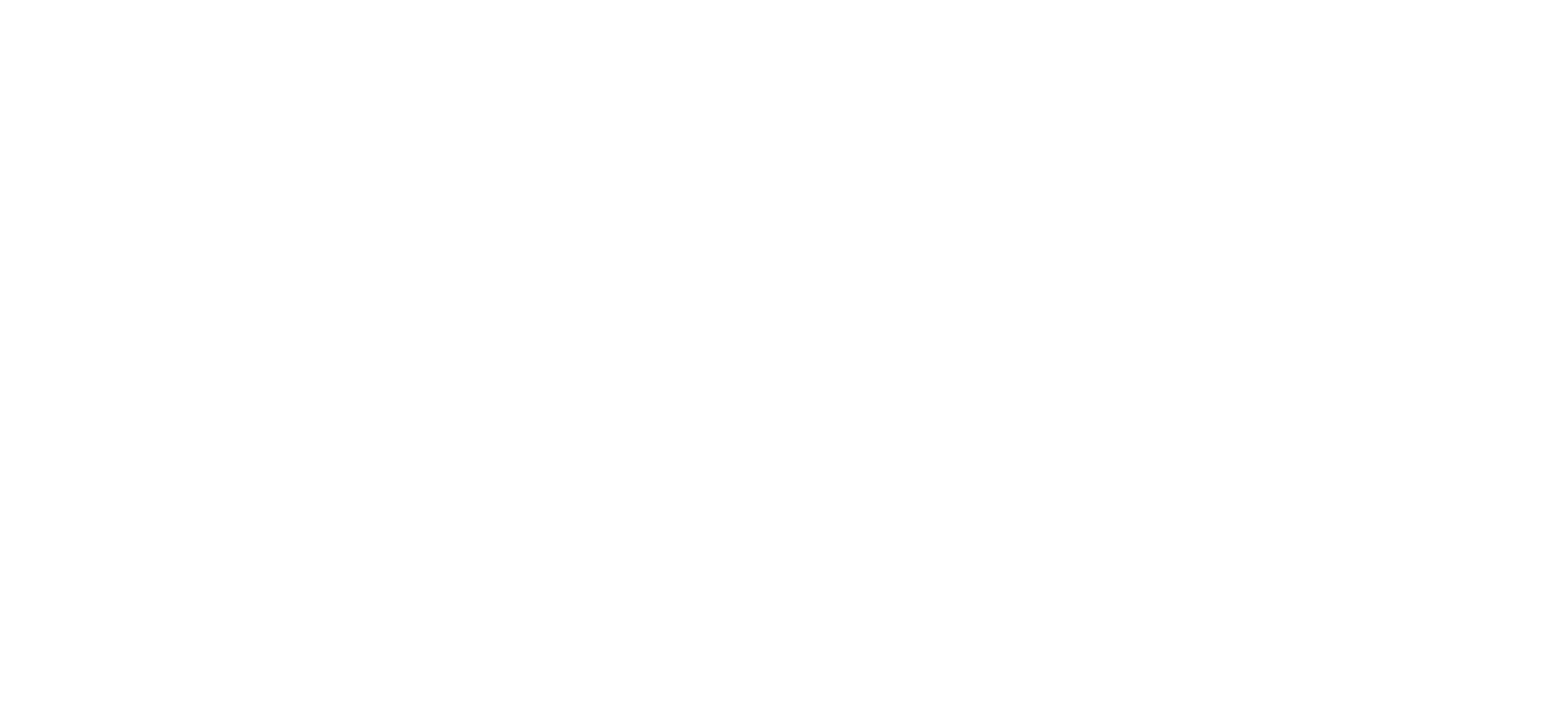ins-pi logo_white